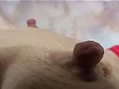 在白兰地和莫妮克的卧室里有三人间